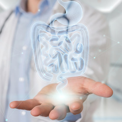 Colon Cancer Screening at Digestive Disease Care (DDC) Near me in Melville NY, New Hyde Park NY, Forest Hills NY, Jericho NY, Mineola NY, Lake Success NY, Babylon NY, Massapequa NY, East Setauket NY and Riverhead NY